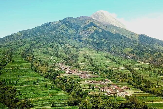 Borobudur Climb Up and Selogriyo Temple Rice Terraces Trekking - Should you book this tour?