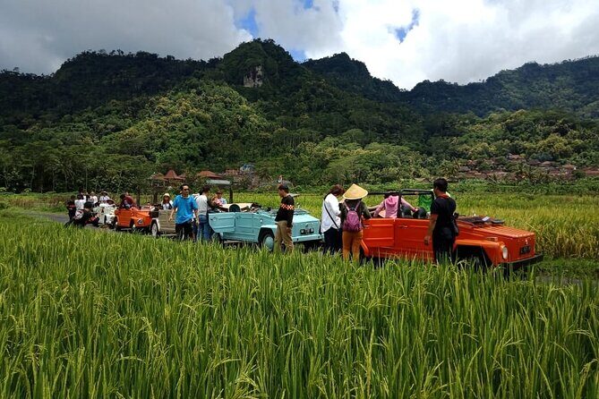 Private Borobudur Village Trip By Volkswagen Safari - Price and Value: What $53.50 Per Group Really Buys